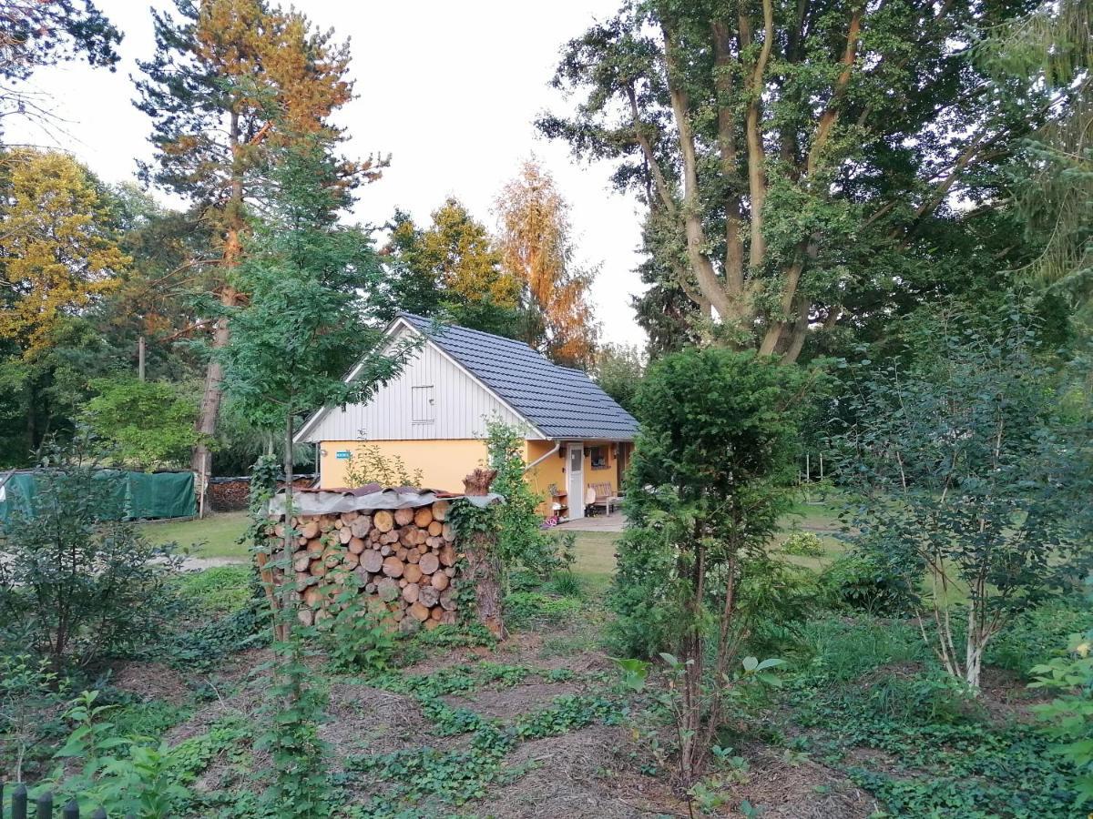 Bleichehof Villa Burg  Eksteriør bilde